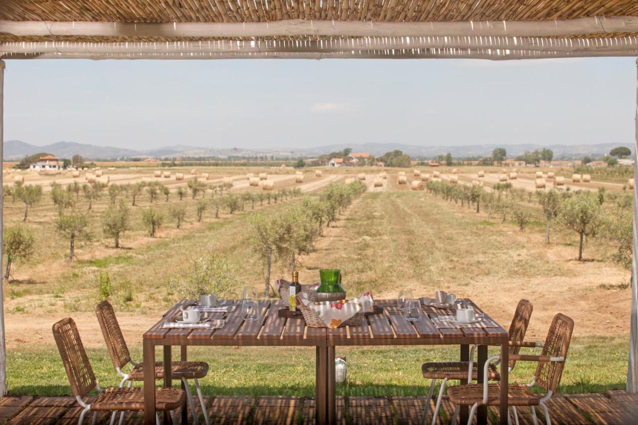 Séjour à la ferme Casale Oliveta Orbetello